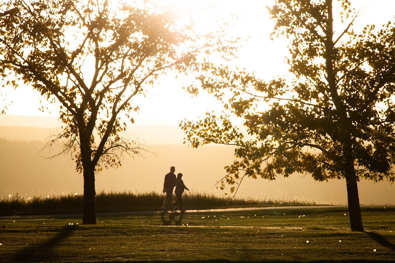 Silhouetted adult and child walk on a path between trees at sunset or sunrise, with lens flare.