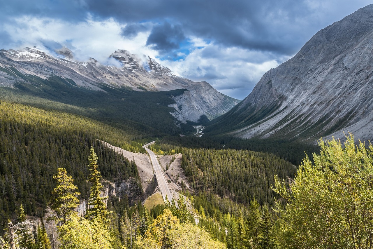 Winding road through a dense evergreen forest in a mountain valley under a cloudy sky with snow-capped peaks.