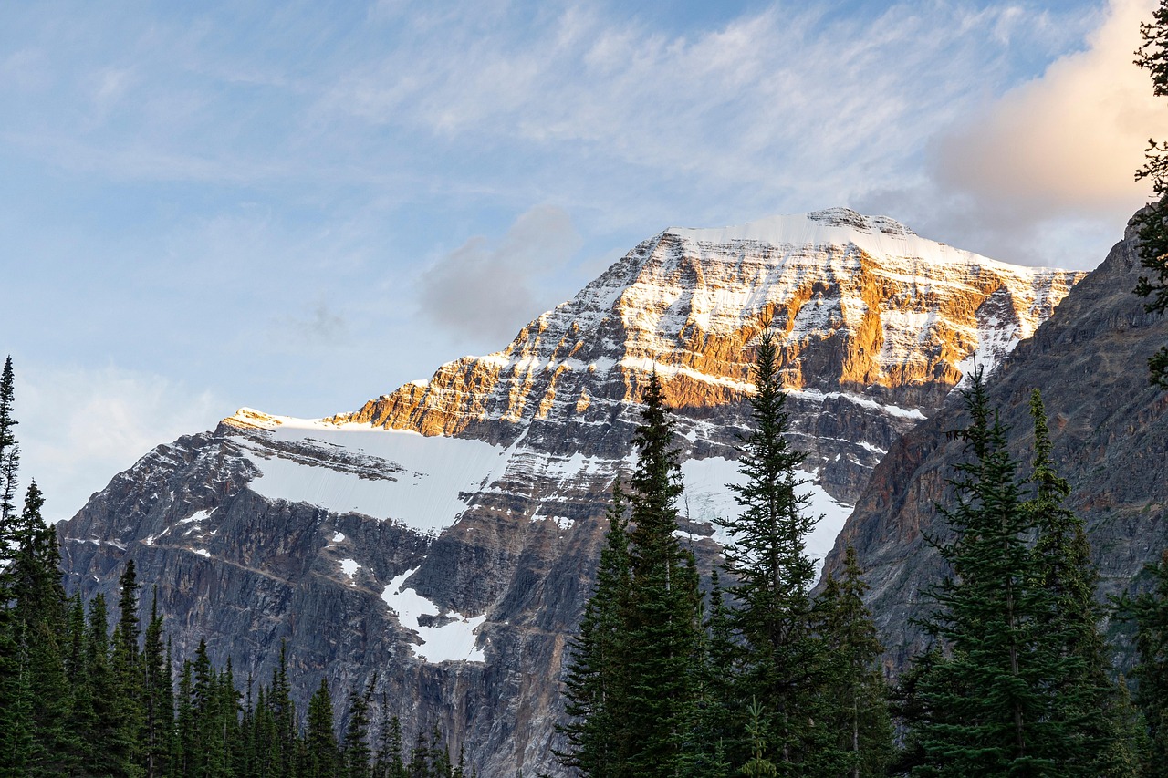 Snow-capped mountains with evergreen trees in the foreground under a partly cloudy sky.