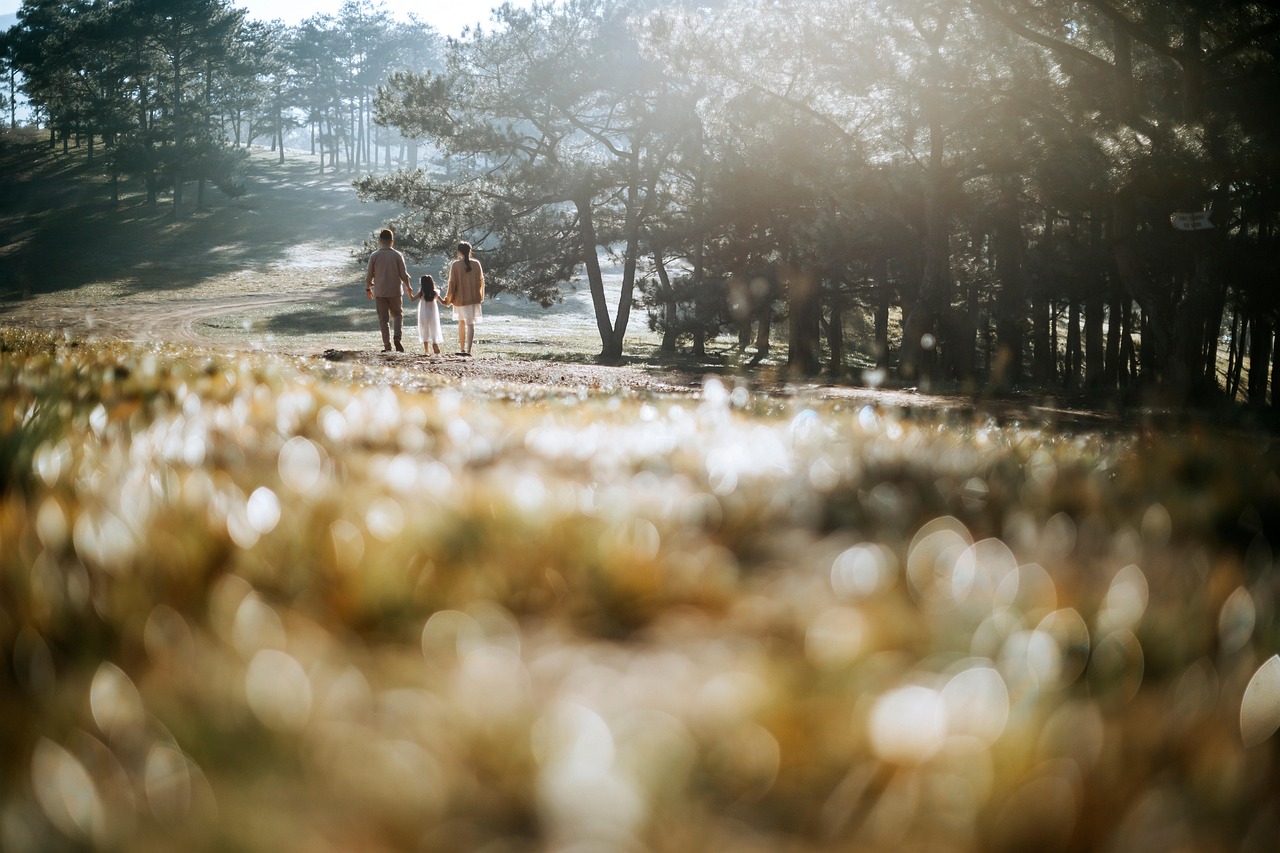 Family of four walking on a dirt path through a sunlit forest.