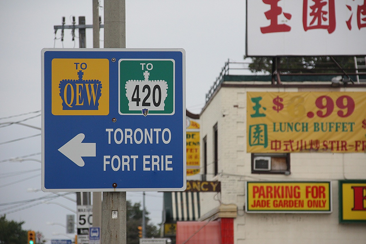 A blue road sign pointing left to Toronto and Fort Erie, with QEW and Highway 420 symbols, against a blurry background of buildings.