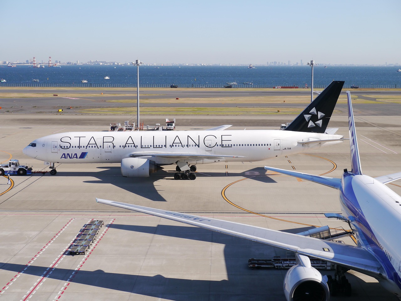 An ANA Star Alliance airplane on an airport tarmac, with a distant city skyline and water in the background.
