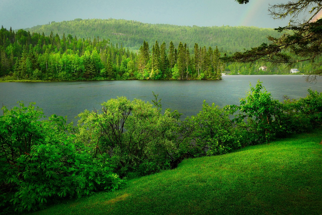 Lush green landscape with a lake, dense forests, and a faint rainbow in the sky.