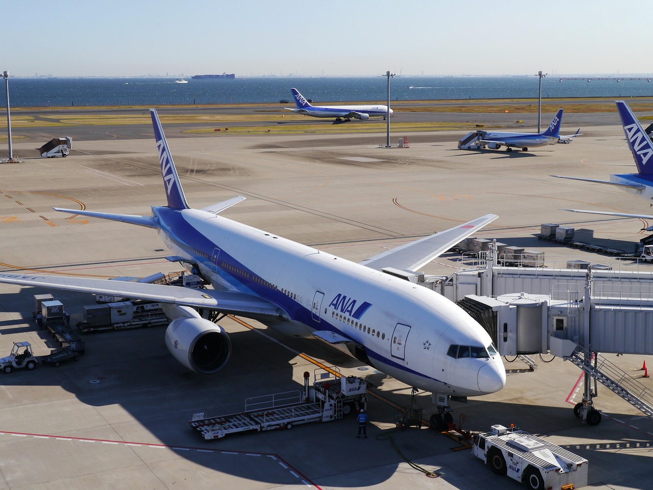 ANA airplane parked at an airport gate with a jet bridge, other planes, and the sea in the background.