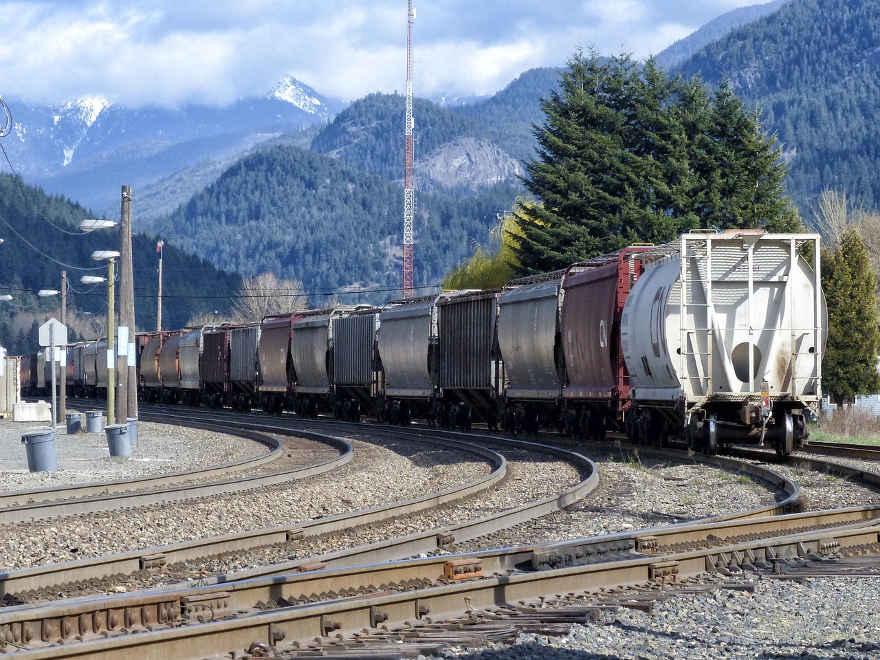 Long freight train on curved tracks with pine trees and snow-capped mountains in the background.