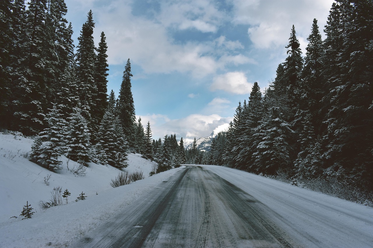 A snow-covered road winding through a dense forest of evergreen trees under a partly cloudy sky.