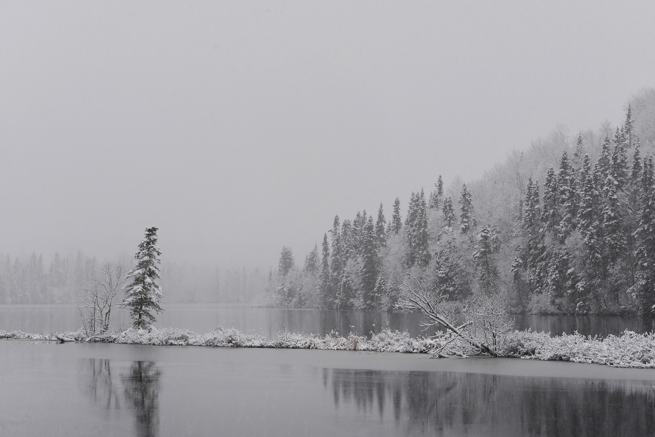 A serene winter landscape with a calm, partially frozen lake surrounded by snow-covered evergreen trees.