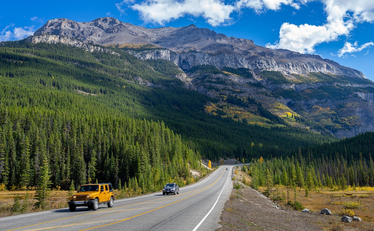 Canada eTA for a fly-in, drive-out road trip: two cars on a mountain highway through pine forest under a bright autumn sky