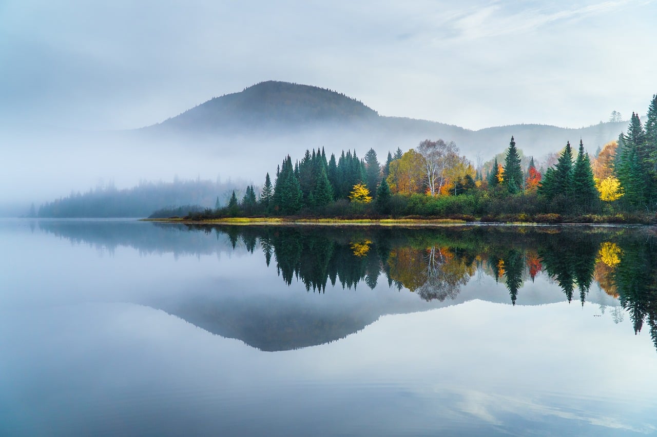 Serene lake reflecting a forested shoreline with autumn trees and a misty mountain under an overcast sky.