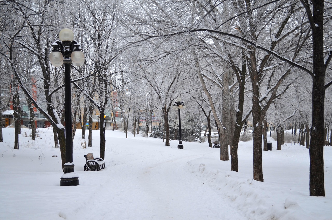 A snow-covered park path lined with bare trees and streetlights, with buildings visible in the background.