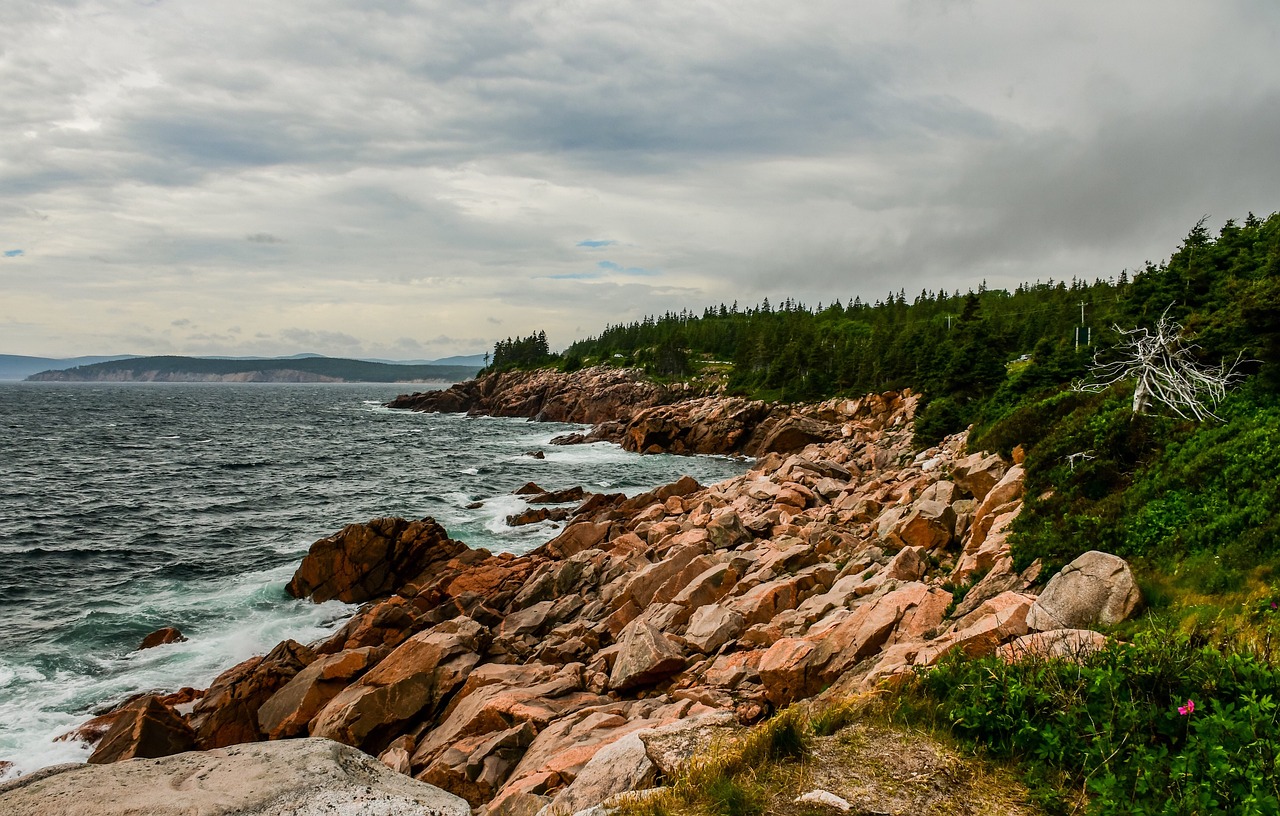 Rugged coastline with reddish-brown rocks, dark ocean waves, and a dense green forest under a cloudy sky.
