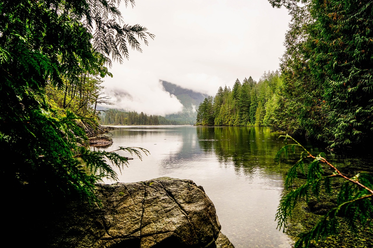 A calm lake surrounded by dense evergreen forests under a cloudy sky, with mist over distant hills.
