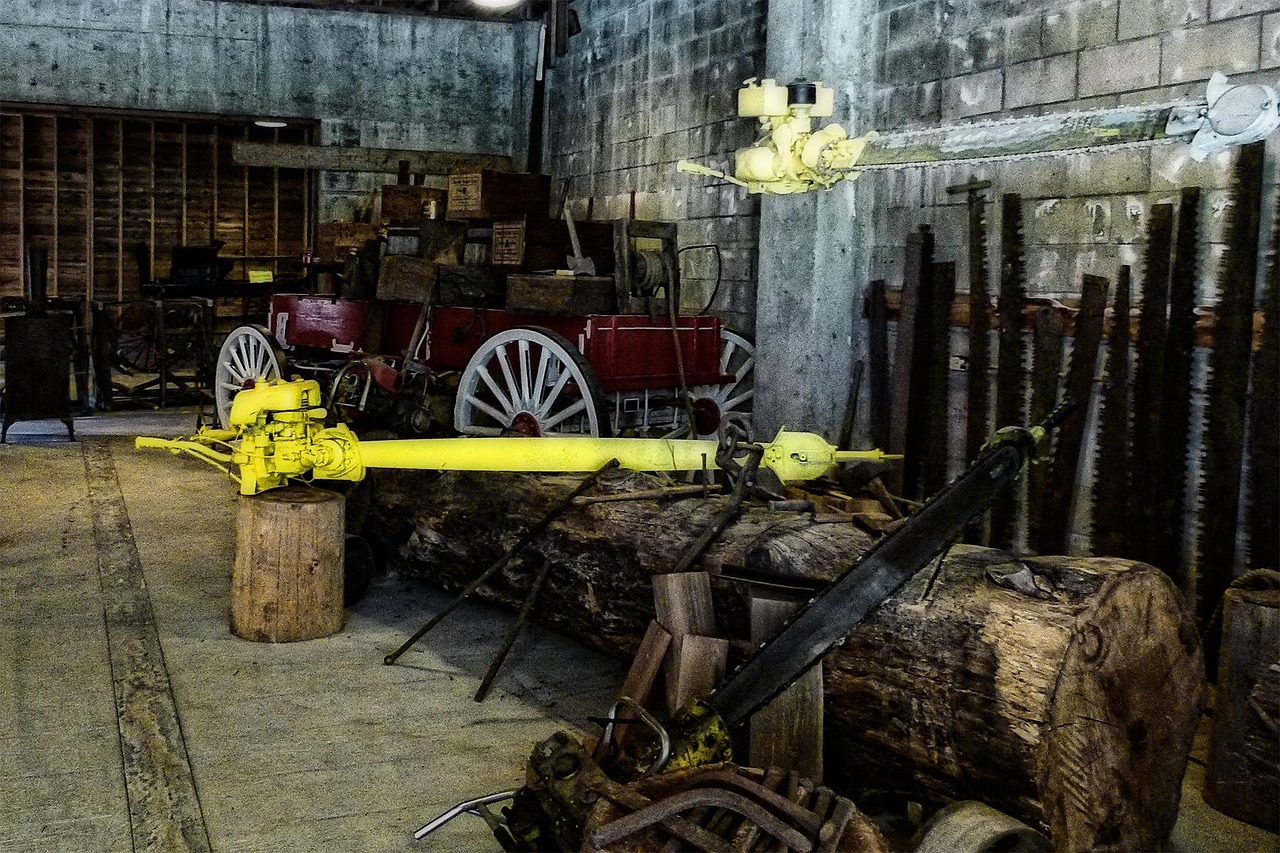 Antique logging equipment and tools, including logs, saws, and a red wagon, displayed indoors.