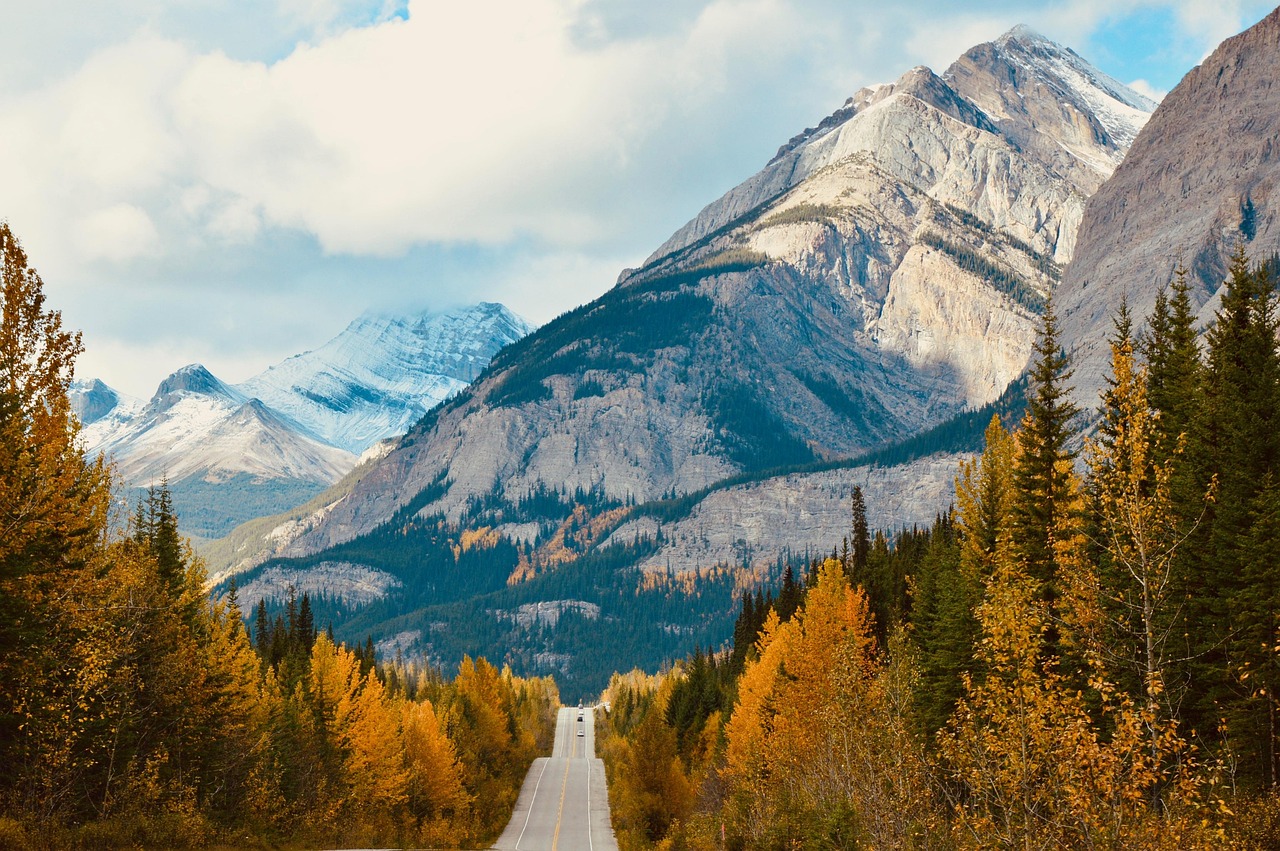 A long road through autumn forests with yellow and orange trees, leading towards snow-capped mountains under a cloudy sky.