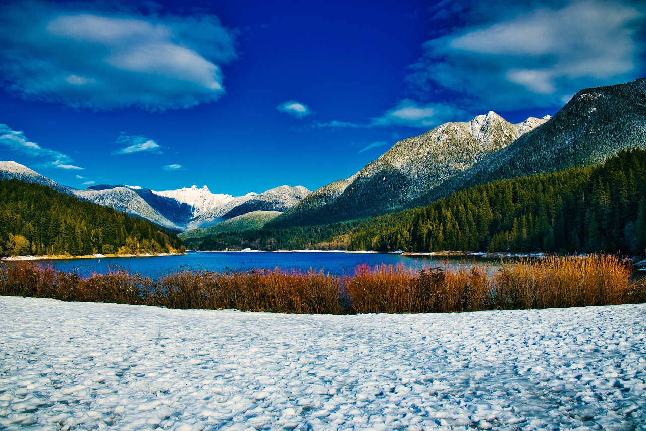 A snow-covered foreground with brown bushes leads to a blue lake surrounded by snow-capped mountains and evergreen trees.